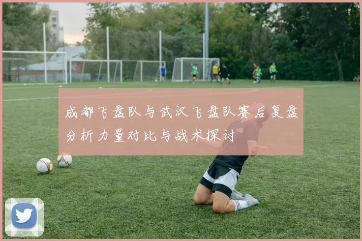 成都飞盘队与武汉飞盘队赛后复盘分析力量对比与战术探讨