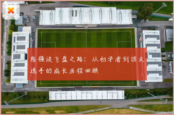 陈强谈飞盘之路：从初学者到顶尖选手的成长历程回顾