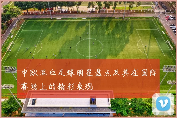 中欧混血足球明星盘点及其在国际赛场上的精彩表现
