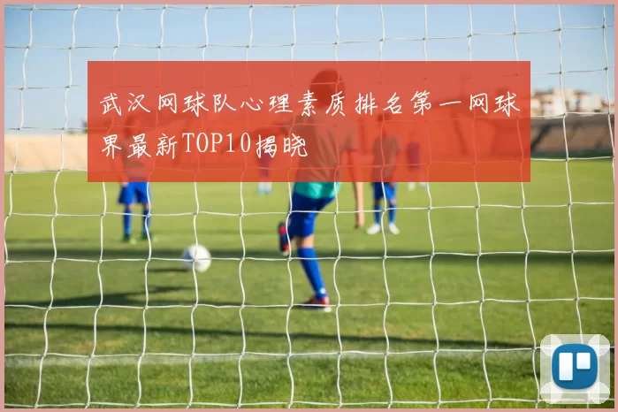 武汉网球队心理素质排名第一网球界最新TOP10揭晓