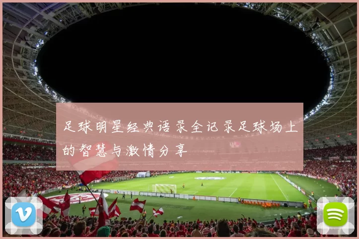 足球明星经典语录全记录足球场上的智慧与激情分享
