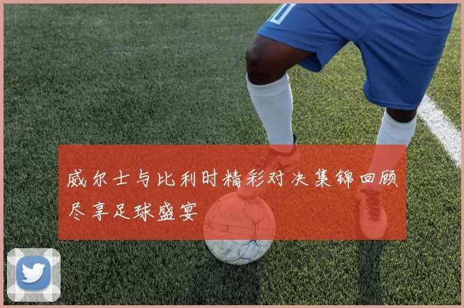 威尔士与比利时精彩对决集锦回顾尽享足球盛宴