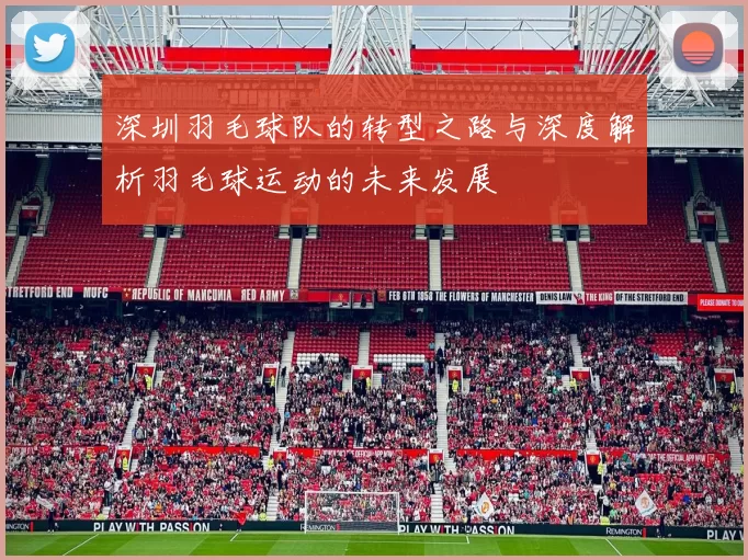 深圳羽毛球队的转型之路与深度解析羽毛球运动的未来发展