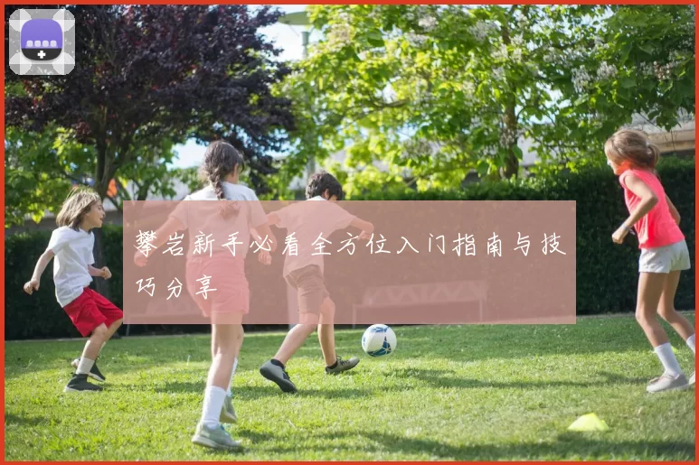 攀岩新手必看全方位入门指南与技巧分享