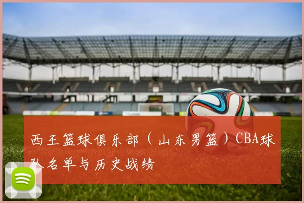西王篮球俱乐部（山东男篮）CBA球队名单与历史战绩