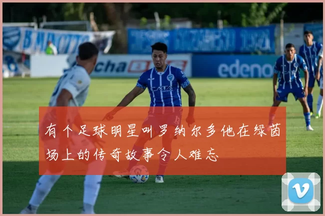 有个足球明星叫罗纳尔多他在绿茵场上的传奇故事令人难忘