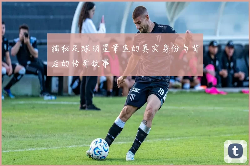 揭秘足球明星章鱼的真实身份与背后的传奇故事