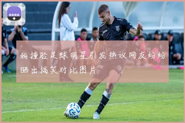 狗撞脸足球明星引发热议网友纷纷晒出搞笑对比图片
