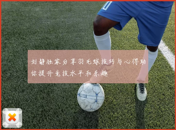 刘静独家分享羽毛球技巧与心得助你提升竞技水平和乐趣
