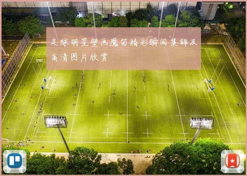 足球明星壁画魔笛精彩瞬间集锦及高清图片欣赏