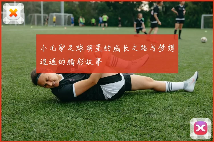 小毛驴足球明星的成长之路与梦想追逐的精彩故事