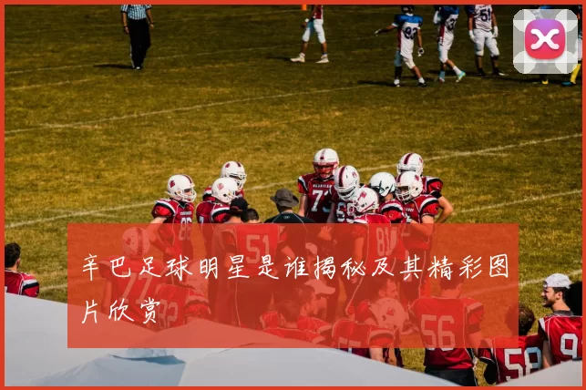 辛巴足球明星是谁揭秘及其精彩图片欣赏