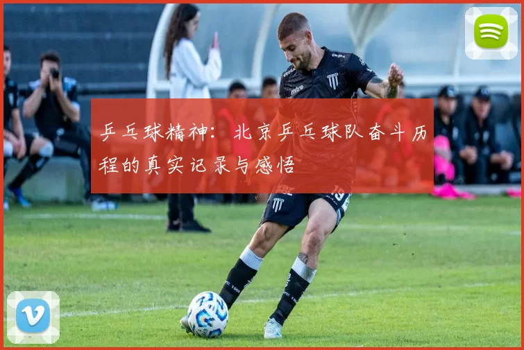 乒乓球精神：北京乒乓球队奋斗历程的真实记录与感悟