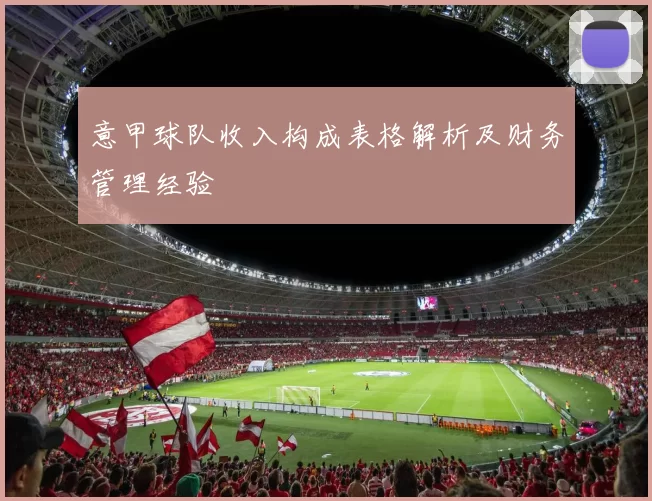 意甲球队收入构成表格解析及财务管理经验
