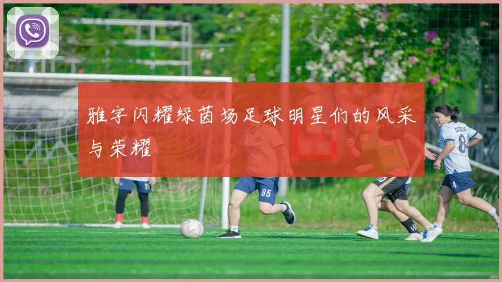 雅字闪耀绿茵场足球明星们的风采与荣耀