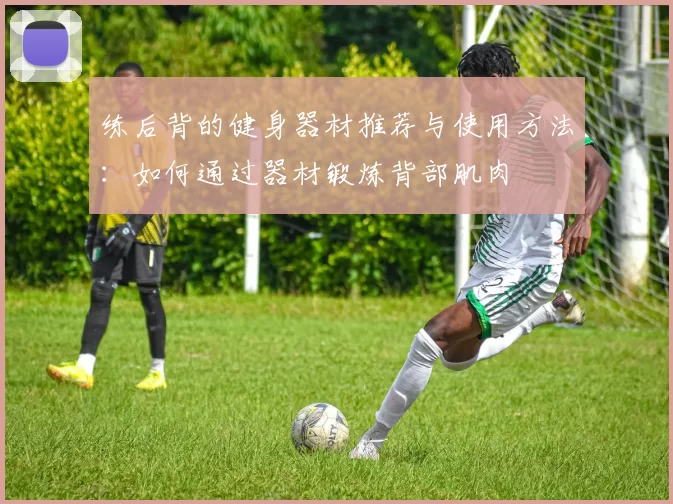 练后背的健身器材推荐与使用方法：如何通过器材锻炼背部肌肉