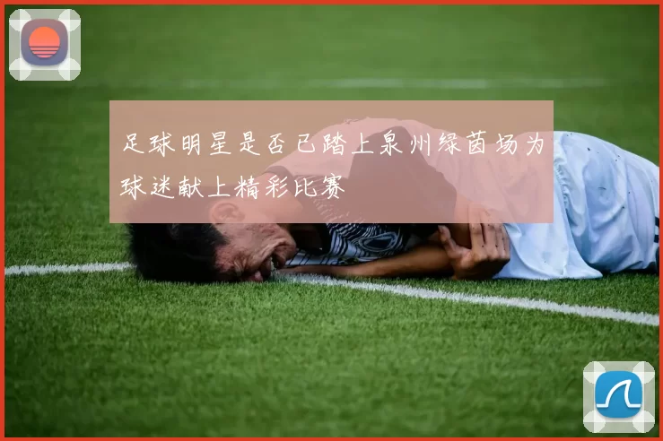 足球明星是否已踏上泉州绿茵场为球迷献上精彩比赛