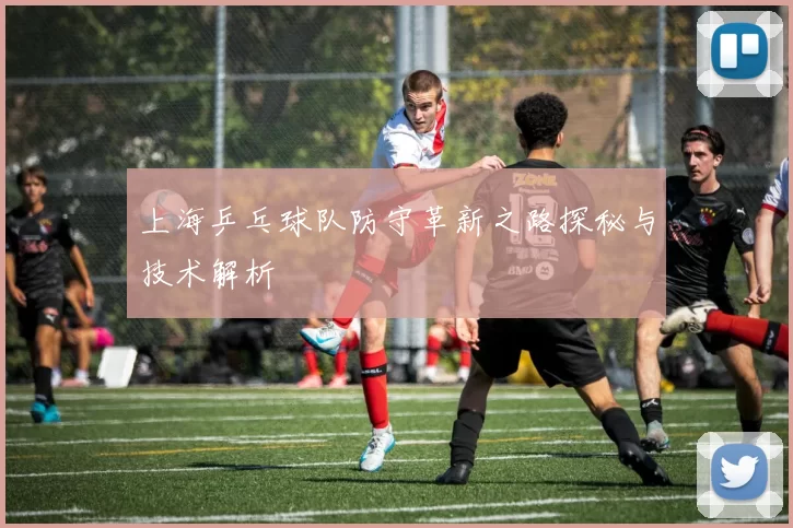 上海乒乓球队防守革新之路探秘与技术解析