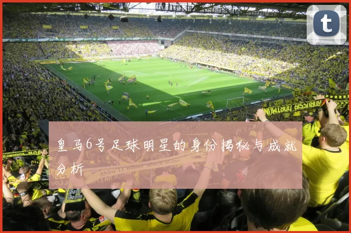 皇马6号足球明星的身份揭秘与成就分析