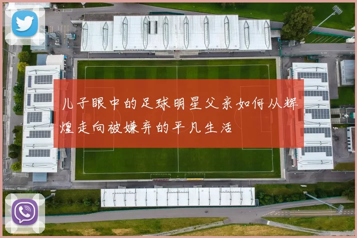 儿子眼中的足球明星父亲如何从辉煌走向被嫌弃的平凡生活