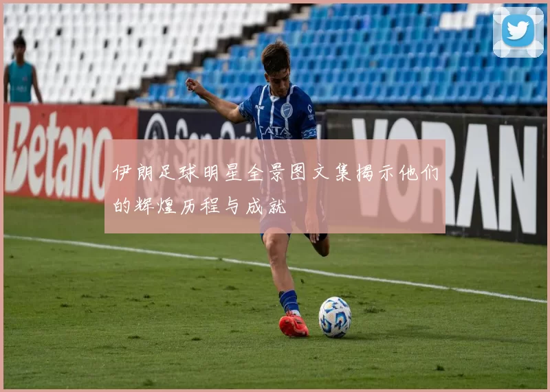 伊朗足球明星全景图文集揭示他们的辉煌历程与成就