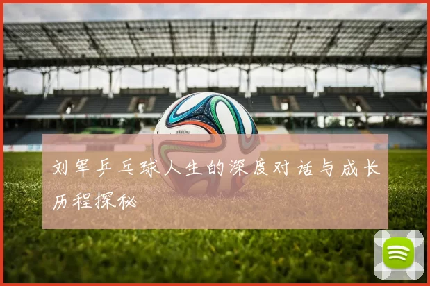 刘军乒乓球人生的深度对话与成长历程探秘