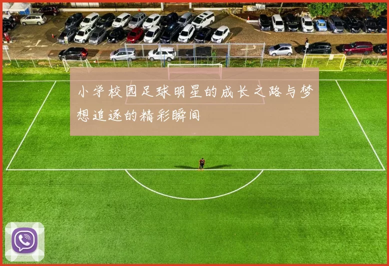 小学校园足球明星的成长之路与梦想追逐的精彩瞬间